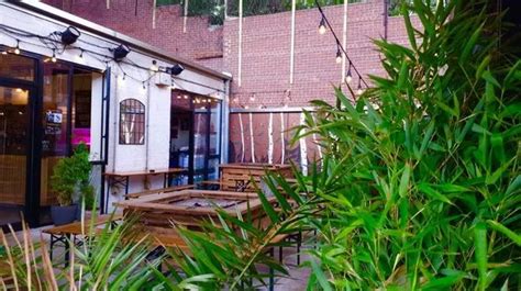 10 Newcastle pubs with beer gardens open this weekend - Chronicle Live