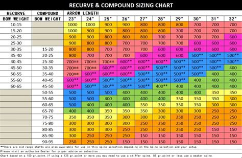 Spine Chart Focal Point Archery