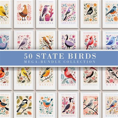 50 State Birds Gallery Wall Set All 50 States Bundle Bird Prints