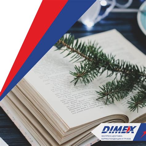 DIMEX Russia | ВКонтакте