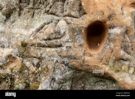 Old Mossy Carvings In Sandstone Stock Photo Alamy