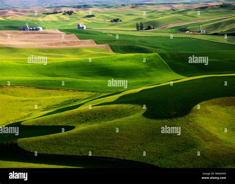 USA, Washington State. Aerial of Palouse Region Stock Photo - Alamy