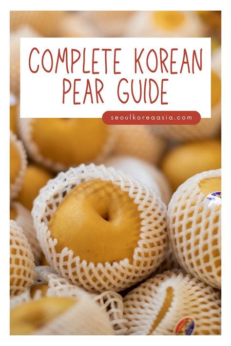 Complete Korean Pear Guide Asian Pears Apple Pears Asian Pear Jam