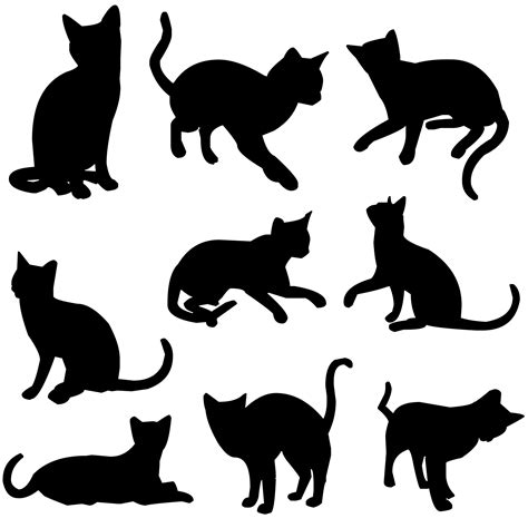 Nine Cats Free Stock Photo - Public Domain Pictures