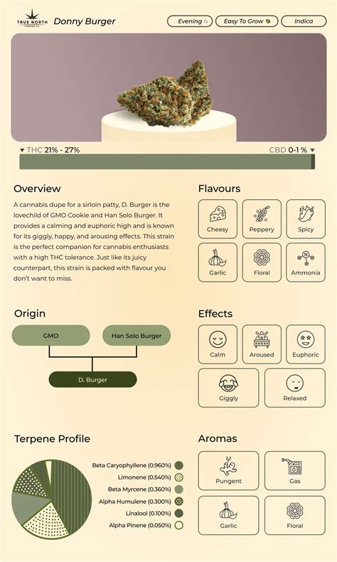 Budtender Strain of the Month: D Burger | True North Cannabis Co.