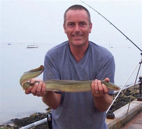 What Is the European Eel How to Catch One | BadAngling