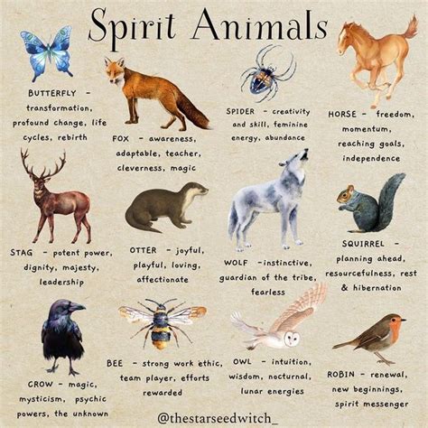 Mammal Symbolism Meaning Artofit