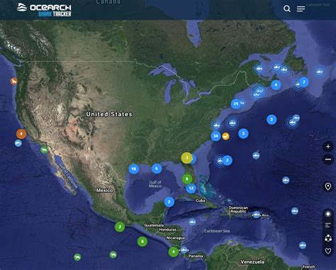 Shark And Marine Life Tracker Real Time Location Map Sharks