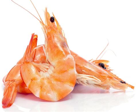 What Is Shrimp Scampi With Pictures