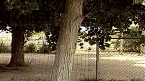 Barbie Dahl Porn Videos Porn Star Sex Scenes Xhamster