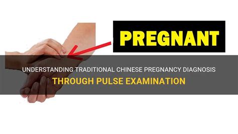 Understanding Traditional Chinese Pregnancy Diagnosis Through Pulse