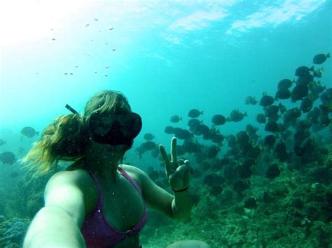 Snorkel Scuba And Free Diving Vol O Undwtr A Porn Pic