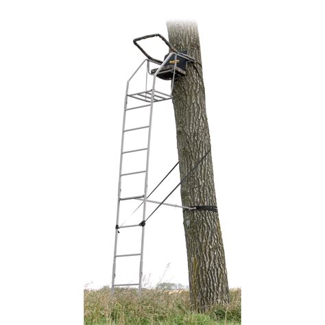 Types Of Ladder Tree Stand At Marvin Peters Blog