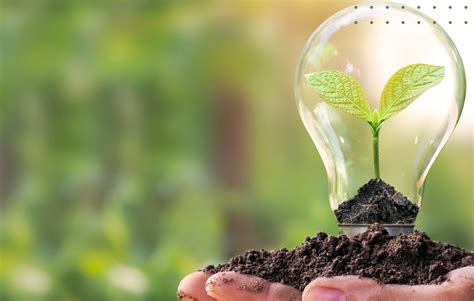 Cite Algumas Vantagens E Desvantagens Das Mídias Sociais