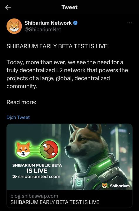 Shiba Inu SHIB Launches Beta Version Of Layer 2 Shibarium AVA Labs