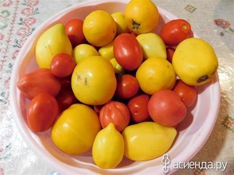 Помидорки на раз: Группа Собираем урожай: хвастики, рецепты, заготовки