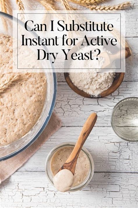 Exploring Types Of Yeast A Guide To Yeast Types