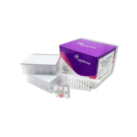 Kit de réactifs en solution P088T00201 Jiangsu Mole Bioscience