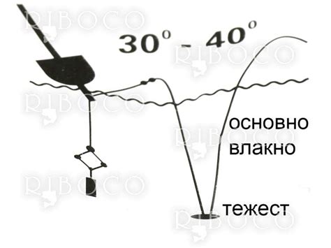 Монтаж за шаран и толстолоб от риболовен магазин Riboco