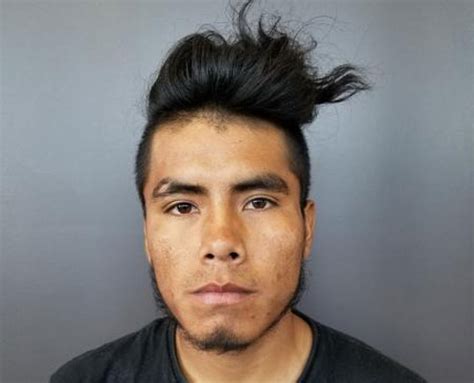 Border Patrol Arrests Registered Sex Offender The Gila Herald