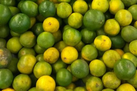 Are Limes Unripe Lemons No But Read The Facts