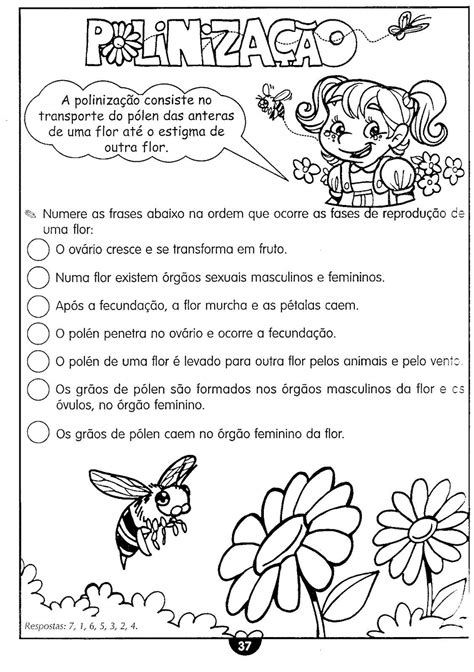 Exercicios Sobre Reprodução Humana 8 Ano Com Gabarito Doc