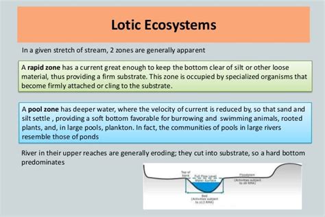 Freshwater ecosystem (2)