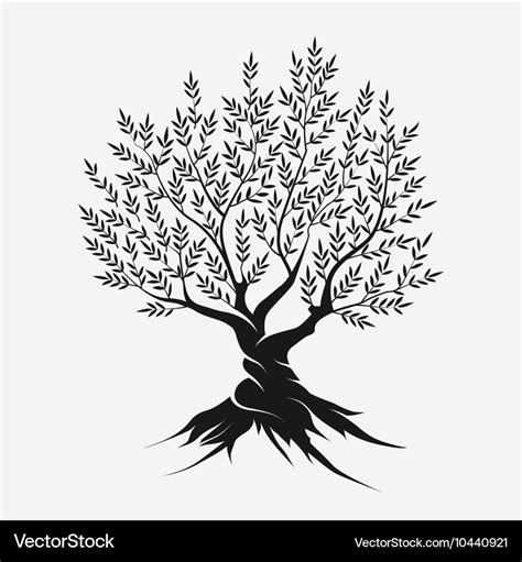 Olive Tree Silhouette Icon Royalty Free Vector Image