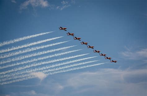 50 Free Snowbirds And Junco Images Pixabay