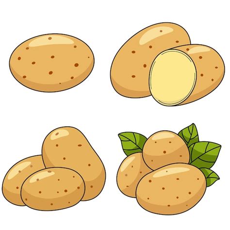 Clipart Kartoffel Bilder Kostenloser Download Auf Freepik