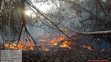 Oaxaca Segundo Lugar Nacional En Incendios Forestales