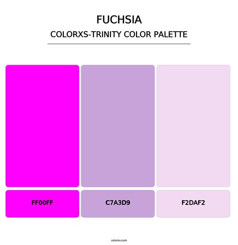 Fuchsia color palettes - colorxs.com