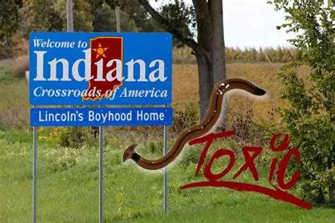 Invasive Cannibalistic Worm Found In Indiana Secretes Neurotoxin