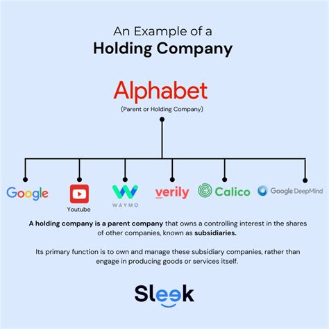 ultimate guide  holding companies sleek