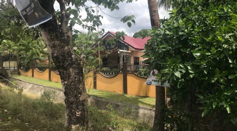 Mango Farm Lot For Sale Id Philx Pat Real Estate