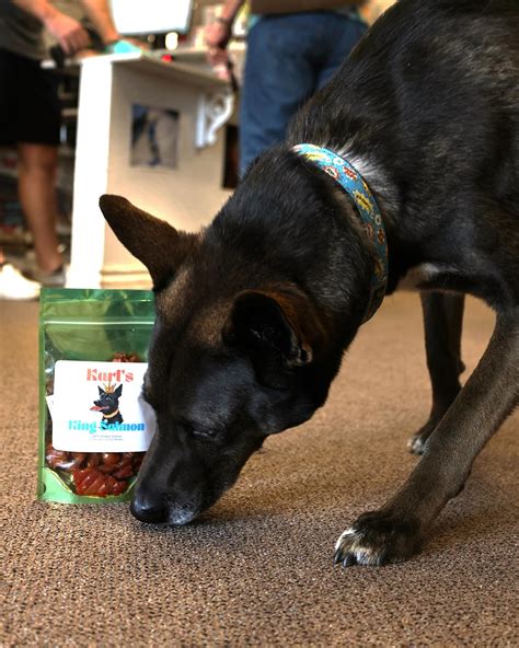 Peoria’s Pet Market | Peoria AZ