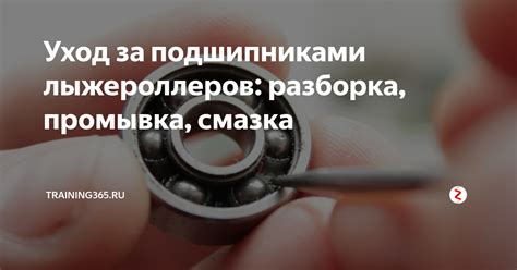 Уход за подшипниками лыжероллеров: разборка, промывка, смазка ...