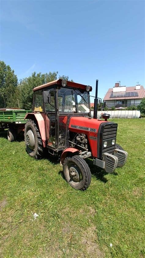 Massey Ferguson Lizawice Olx Pl