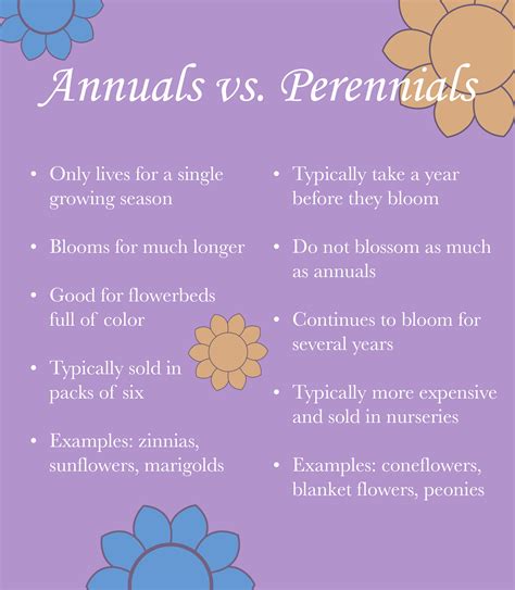 Annual Plants Versus Perennials - Garden Plant