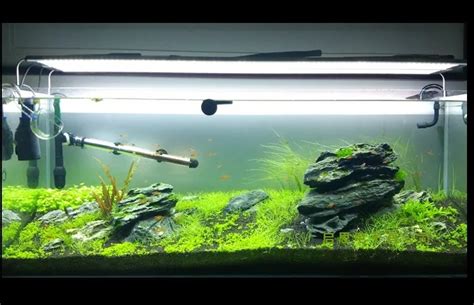 Using Grow Lights For Aquarium Super Slim Led Aquarium Light Lighting