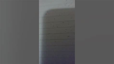 Day 1 Of Drwaing 1 Million Dots Youtube