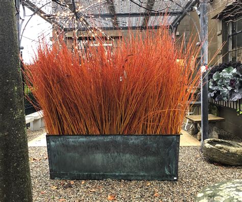 The 2020 Winter Pots Part 1 | Deborah Silver & Co.