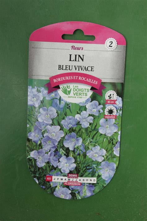 Lin Bleu Vivace Jardi Pradel Jardinerie Et Fleuriste Bagn Res De