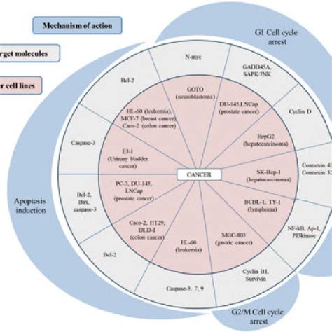 Anti Cancer Effects Of Fucoxanthin And Fucoxanthinol On Various Types