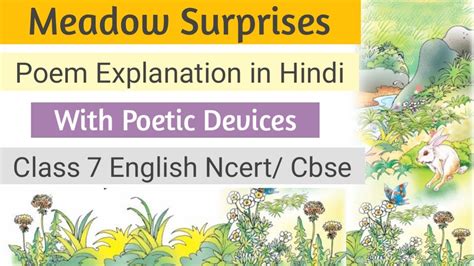 Meadow Surprises Explanation Class 7 English Ncertcbse Youtube