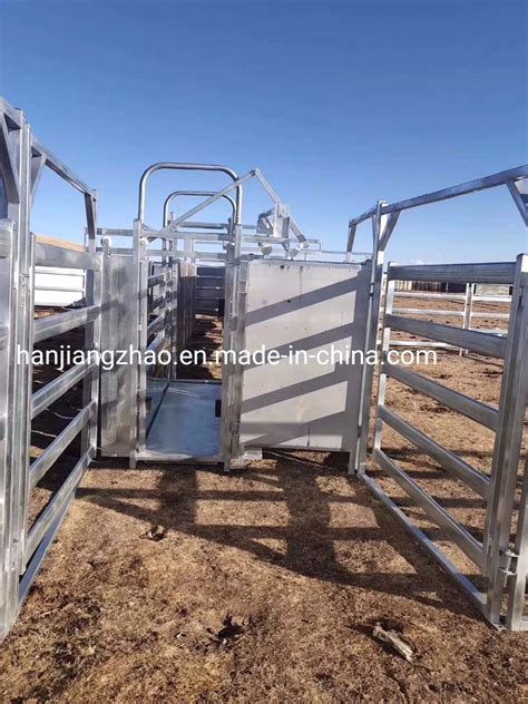 Galvanized Cattle Crush Loading Ramp Vet Crush Sheep Crush Cattle