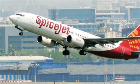 Watch Jabalpur Bound Spicejet Flight Returns To Delhi After Smoke