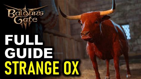 All Strange Ox Encounters Help The Devilish Ox Full Quest Guide