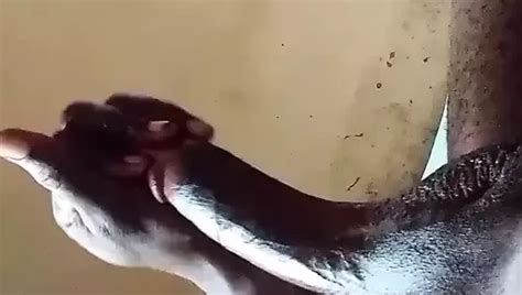 Londiq S Porn Videos And Reels Nude Photos And Bio On Xhamster