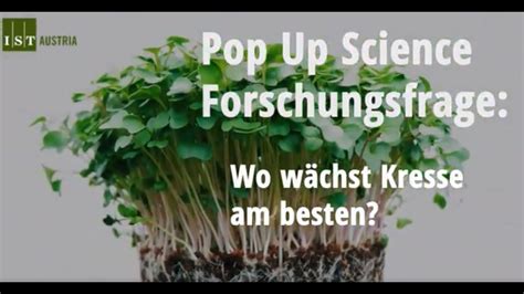 Wo W Chst Kresse Am Besten Where Does Cress Grow Best Youtube